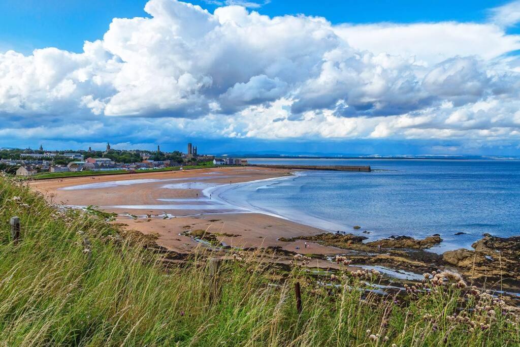 Lovely House & Garden, Short Walk To Town & Beach. St Andrews Exteriör bild
