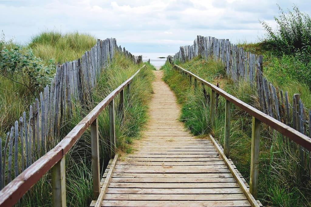 Lovely House & Garden, Short Walk To Town & Beach. St Andrews Exteriör bild
